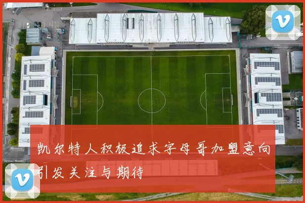 凯尔特人积极追求字母哥加盟意向引发关注与期待