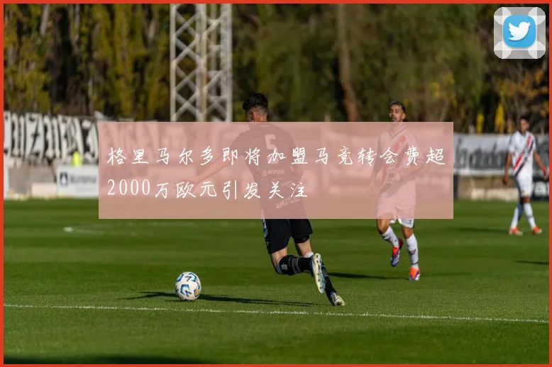 格里马尔多即将加盟马竞转会费超2000万欧元引发关注